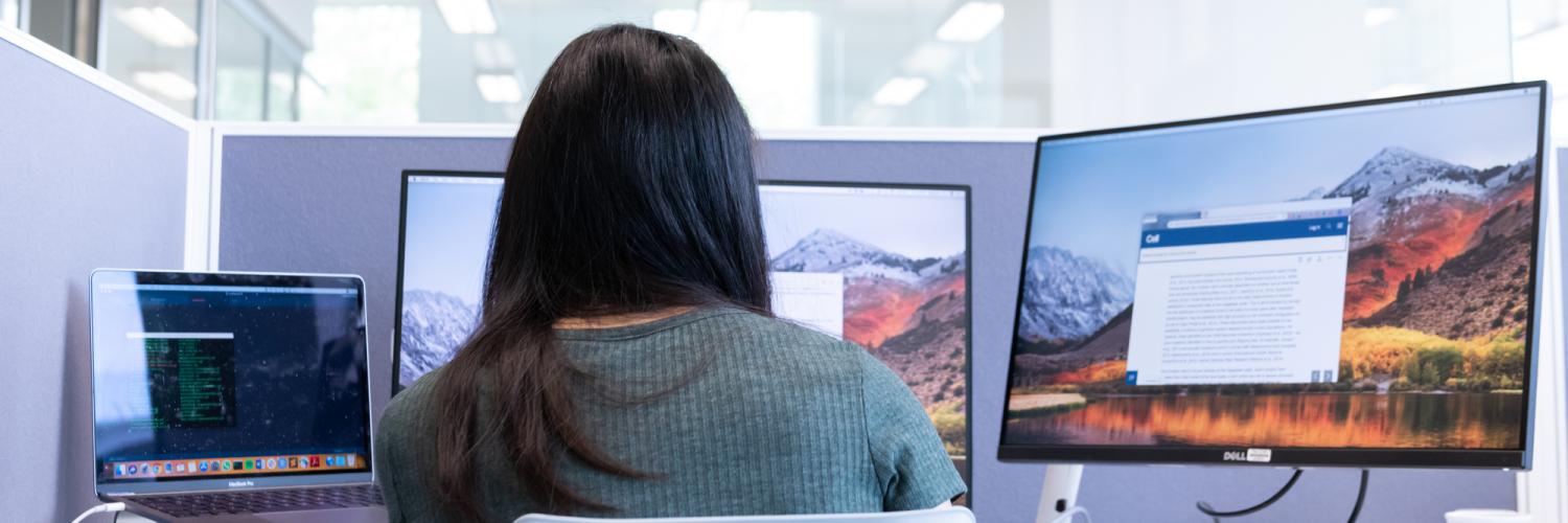 A Crick researcher reading a scientific paper on a screen.