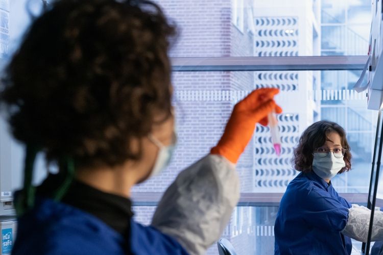 Researchers in Veni Papayannopoulos's lab working on the COVASE clinical trial, part of our COVID-19 research