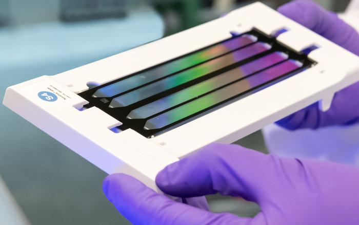 Hands in purple gloves holding a sampling plate with a rainbow sheen.