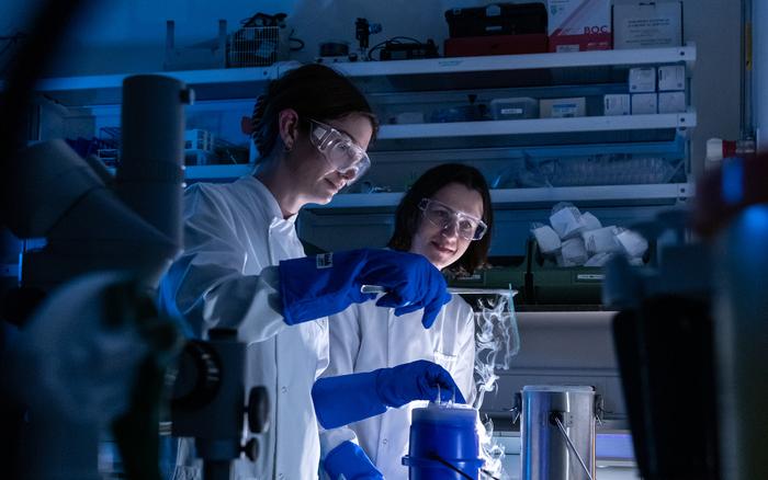 Two scientists in white coats in a dark room taking a sample out of a liquid nitrogen-filled cannister.
