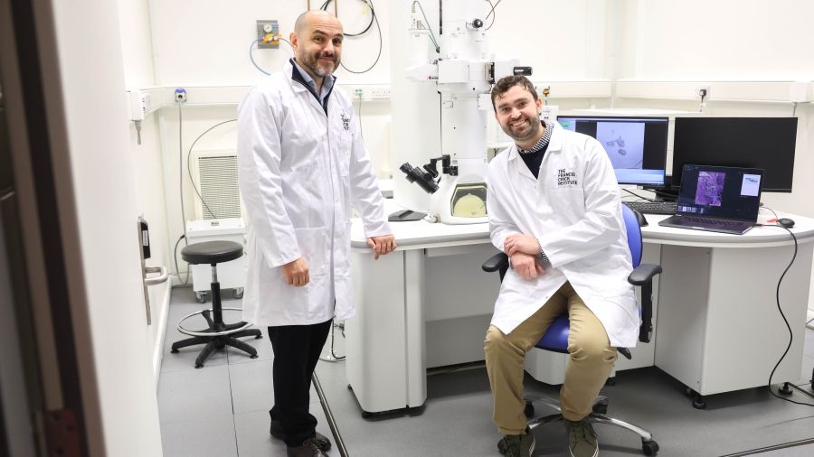 Max Gutierrez and Tony Fearns 