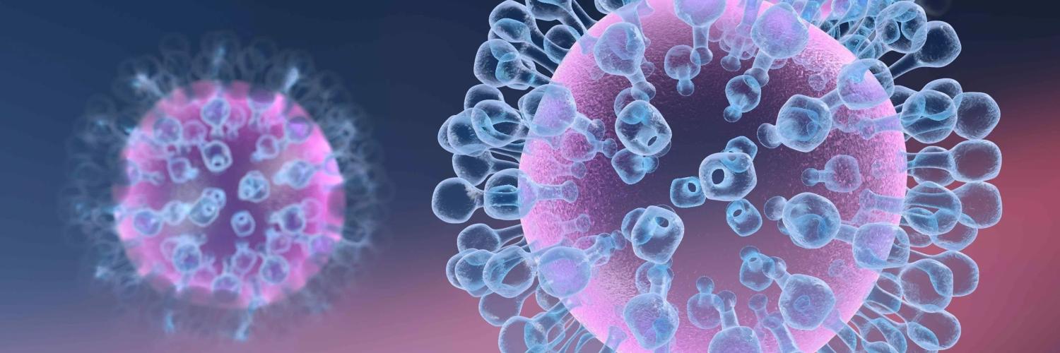 Wendy Barclay banner