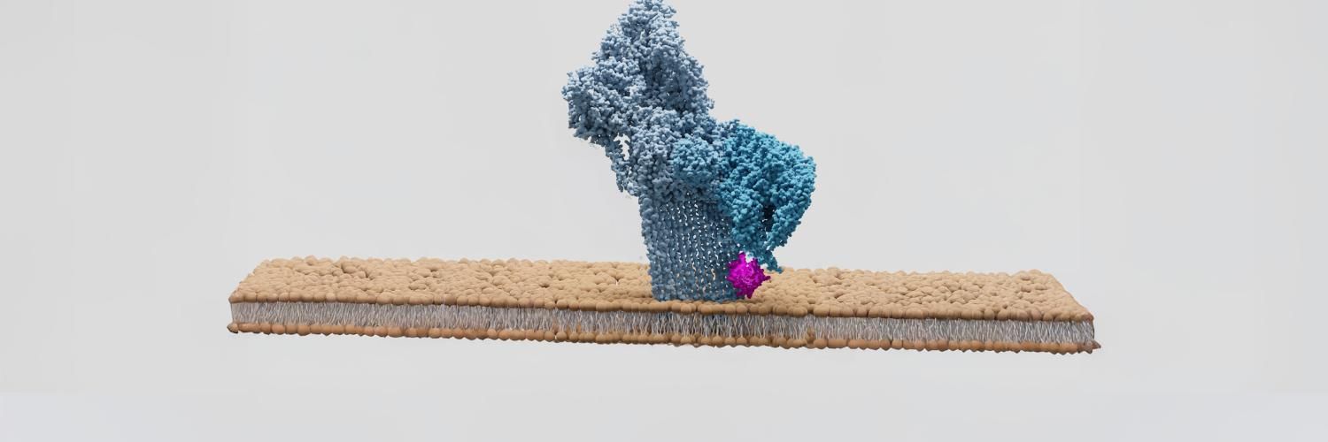 A close-up image of a protein on a cell membrane.