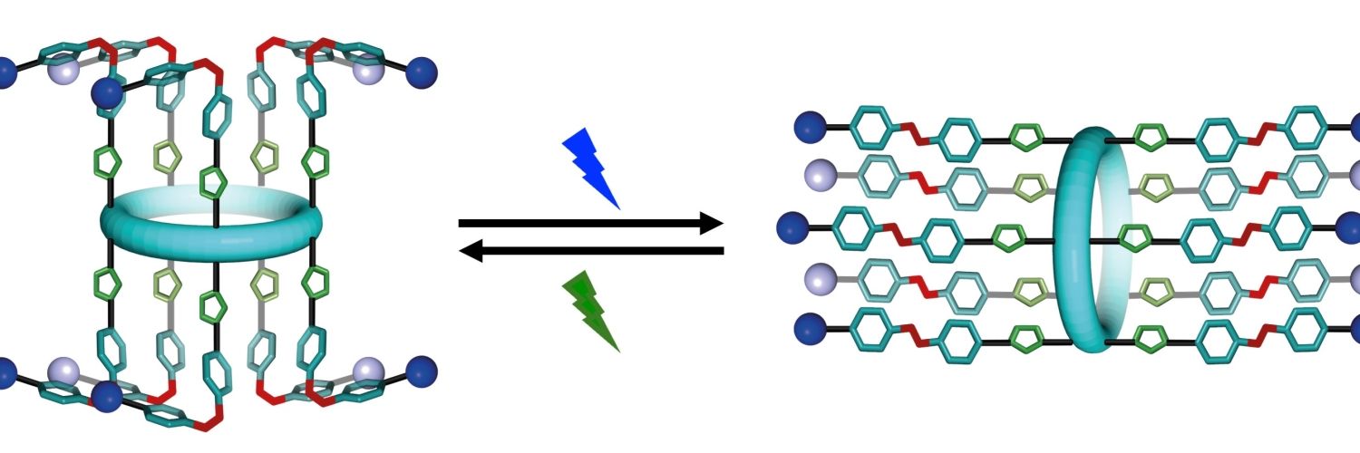 Artificial ion channels
