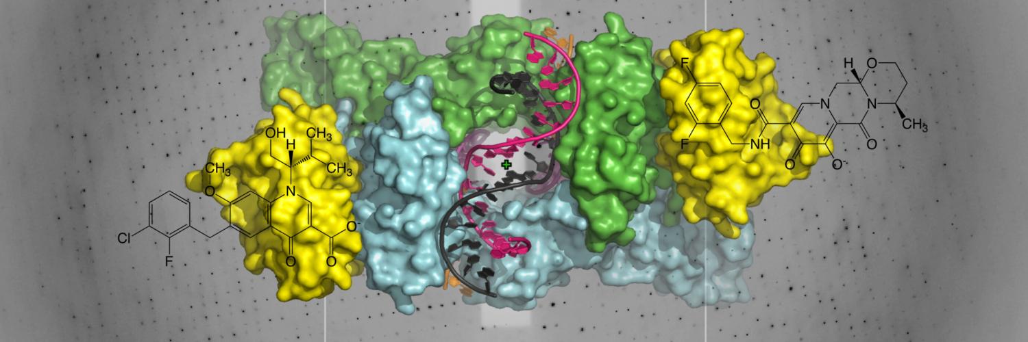 Three-dimensional model of the retroviral intasome and chemical structures of some of the clinical HIV-1 integrase inhibitors studied in the lab