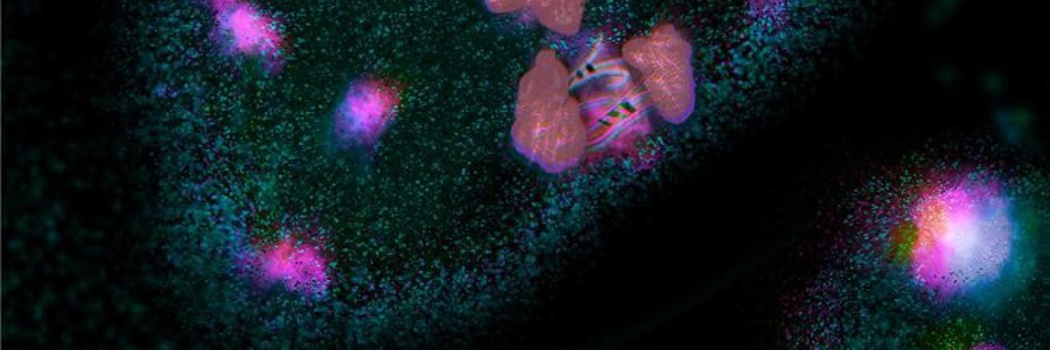 close-up image of a cell