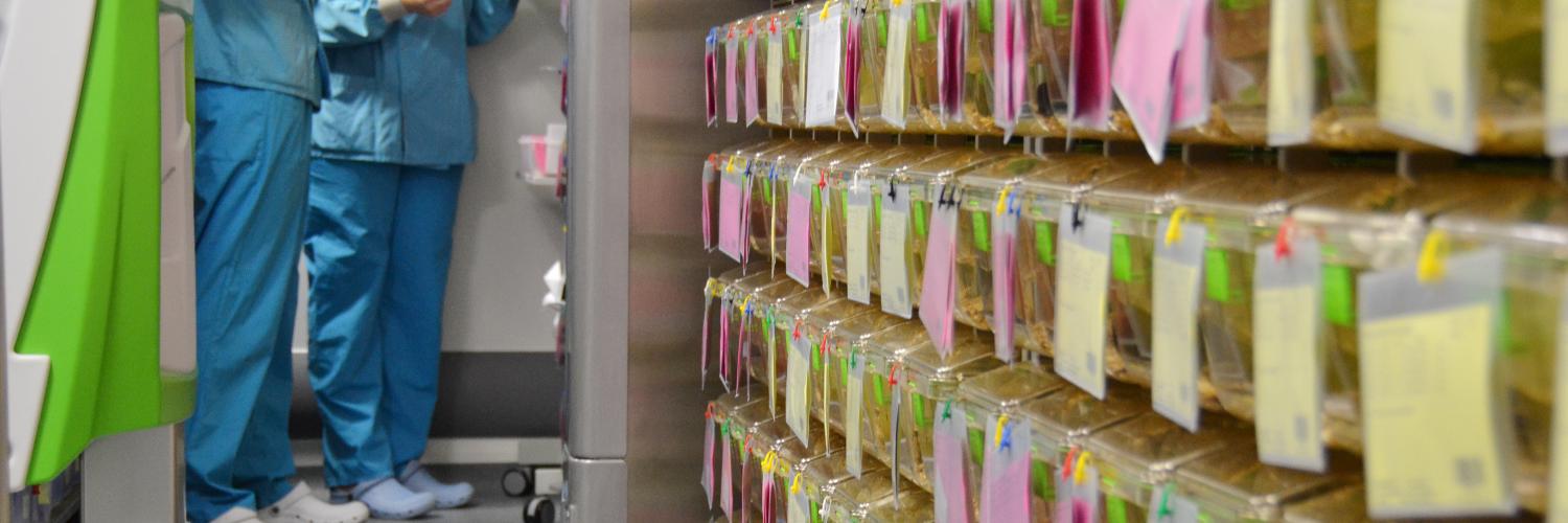 A person with a clipboard standing in front of racks of plastic mouse cages, filled with bedding and labelled up with different coloured paper.