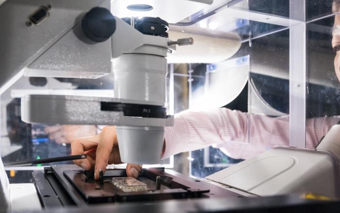 Minee Choi using a microscope