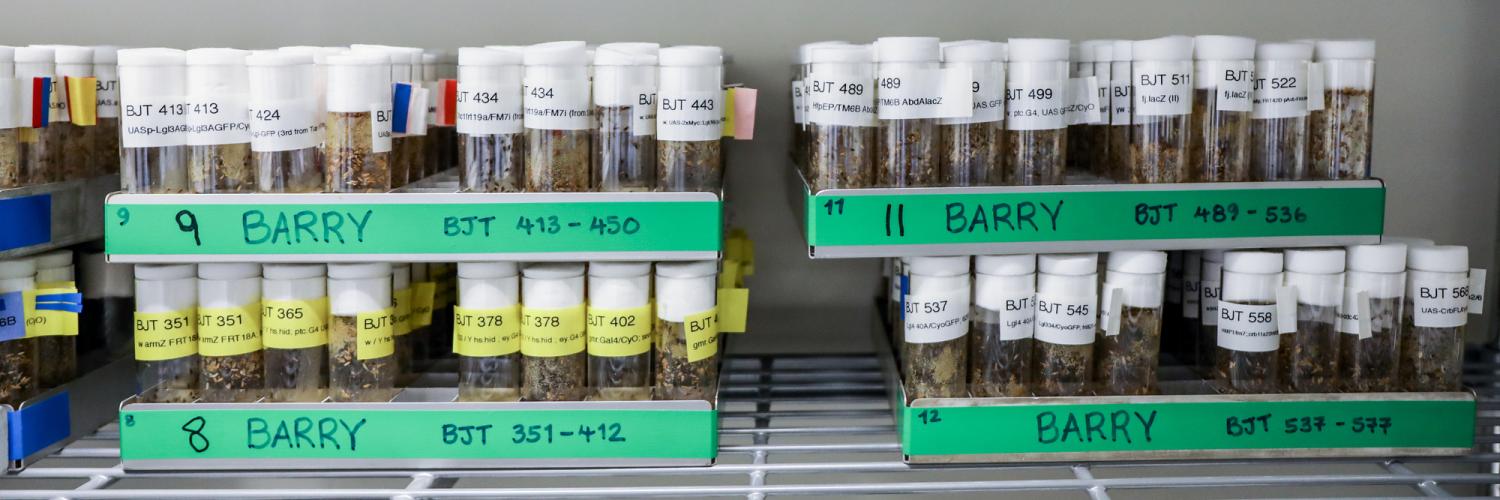 Fly facility incubation shelf.