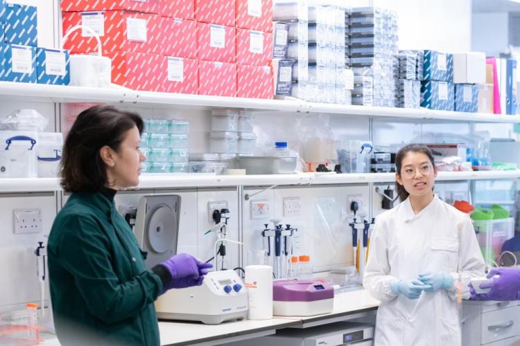 Samra Turajlic's lab working on the CAPTURE project, part of the Francis Crick Institute's COVID-19 research.