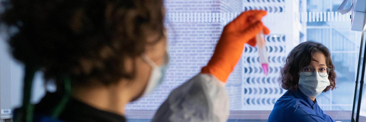 Researchers in Veni Papayannopoulos's lab working on the COVASE clinical trial, part of our COVID-19 research.