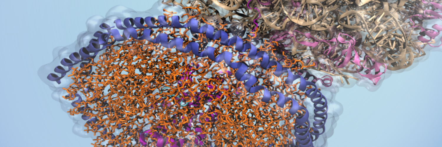 Booth Lab cover image