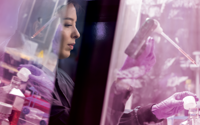 A person works in a lab fume cupboard - there is a pink effect added to the image