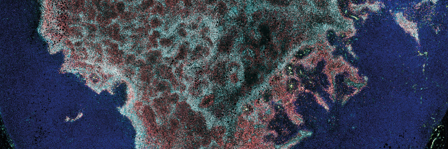 a collection of tiny green and red flecks surrounded by many blue flecks on a black background.