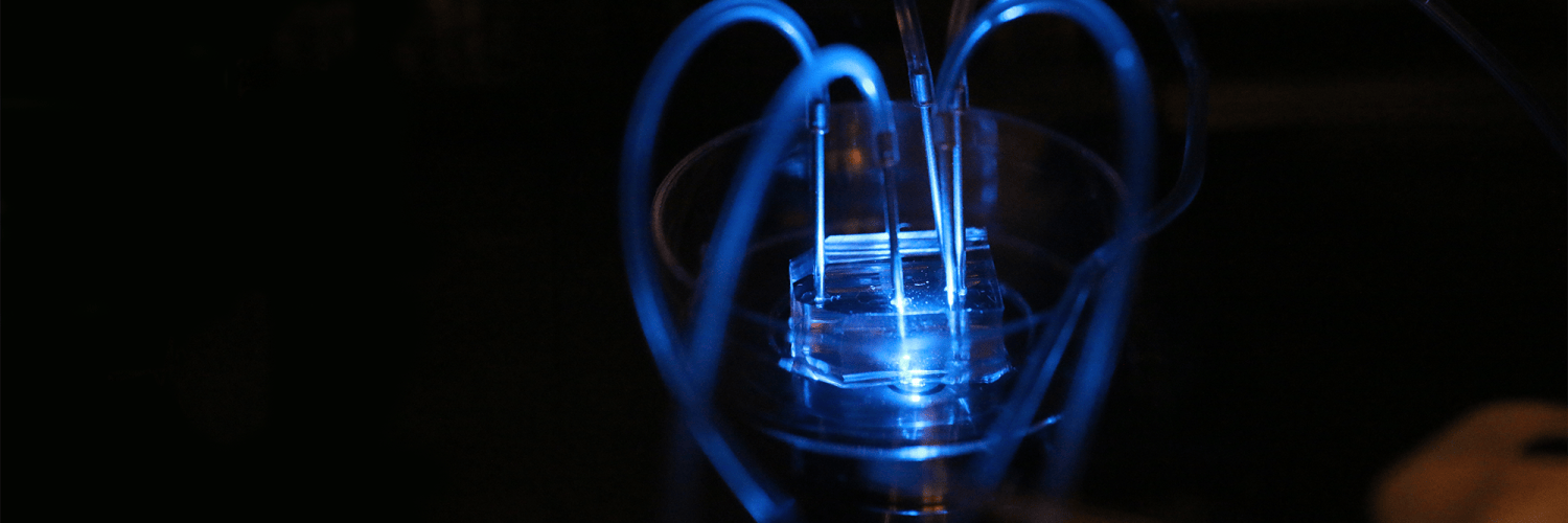 A microfluidic device 