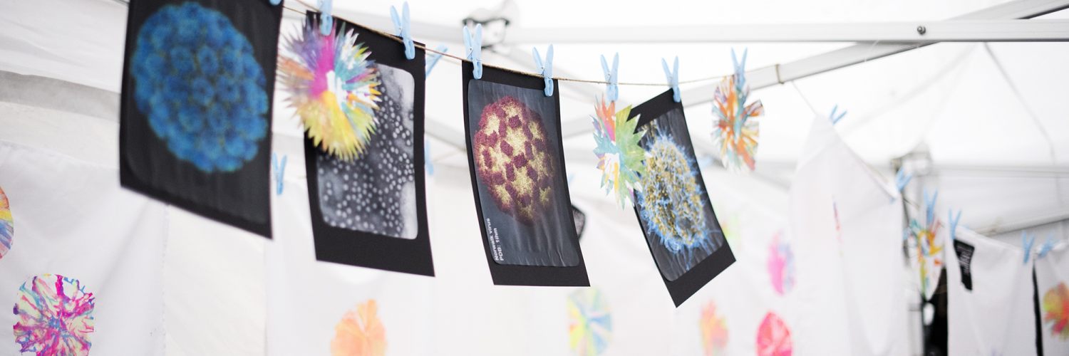 Four painting of cells hang up in a tent that looks like an activity in a festival