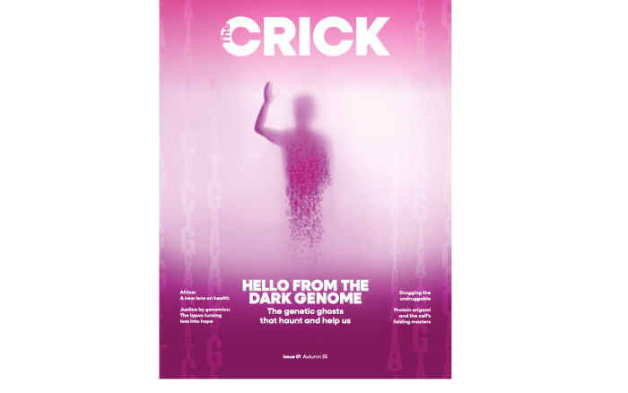 A magazine cover called The Crick - a pink figure emerges and articles are listed